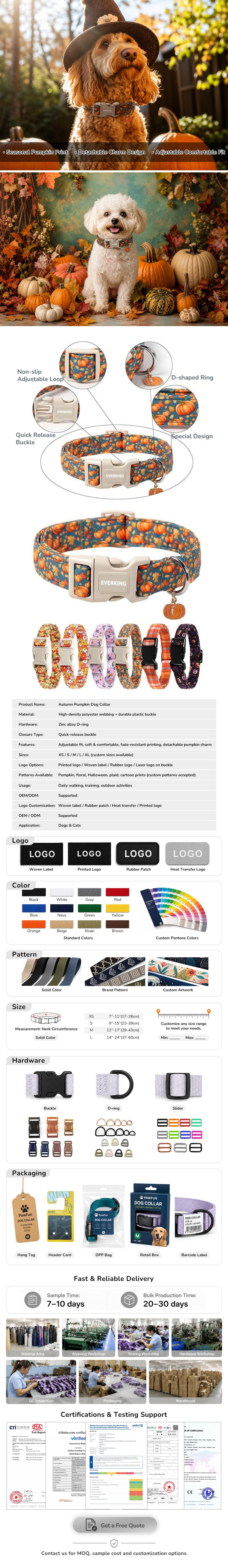 Autumn Pumpkin Adjustable Dog Collar with Charm.jpg